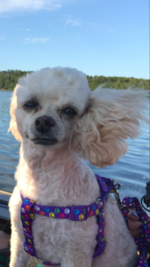 Blondie On Boat